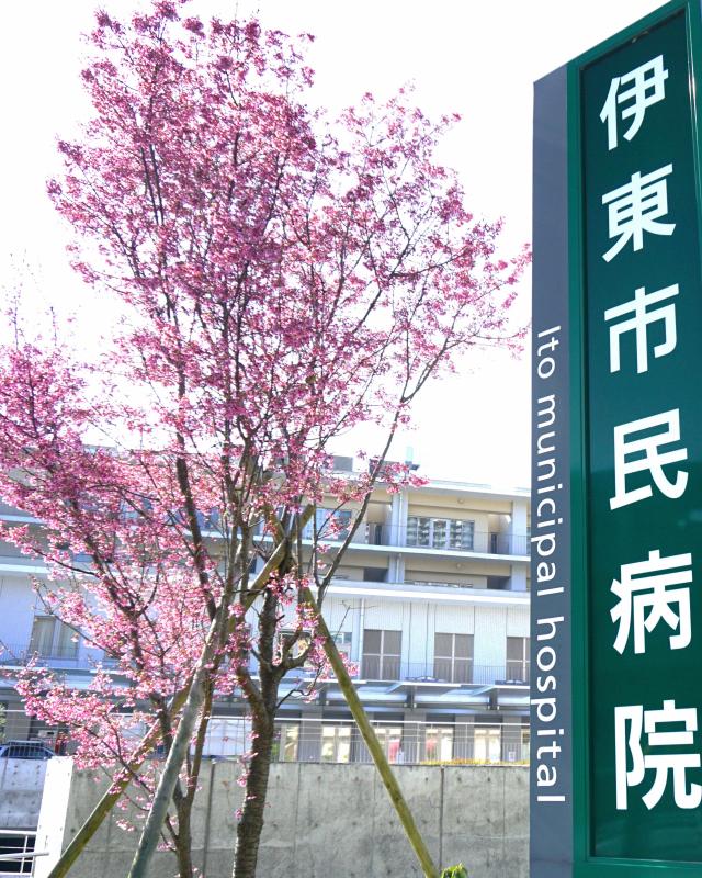 伊東市民病院